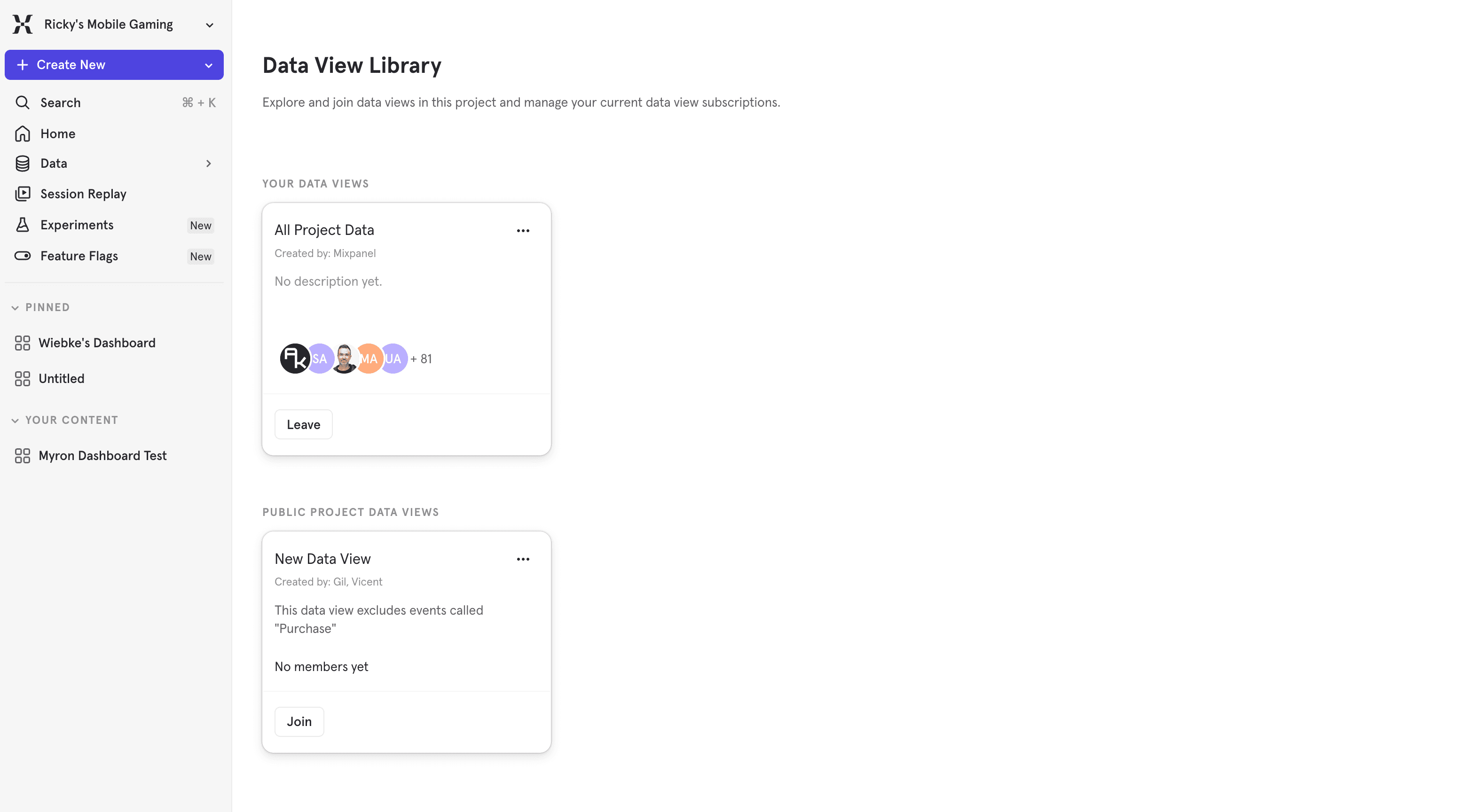 Data View Library